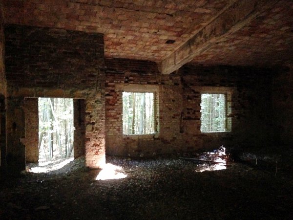 Stadtallendorf (DE), Ruine im Herrenwald -- 2015 -- 1636
