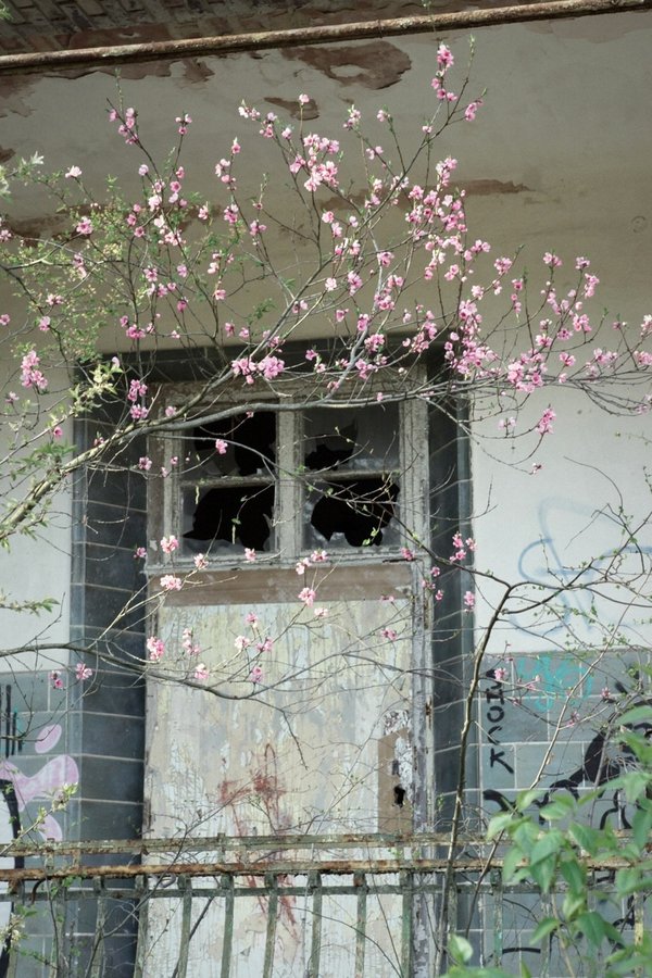 Beelitz (DE), Heilstätten, Chirurgie -- 2019 -- 9456