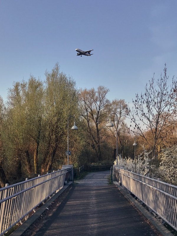 Berlin (DE), Saatwinkler Steg -- 2019 -- 7335