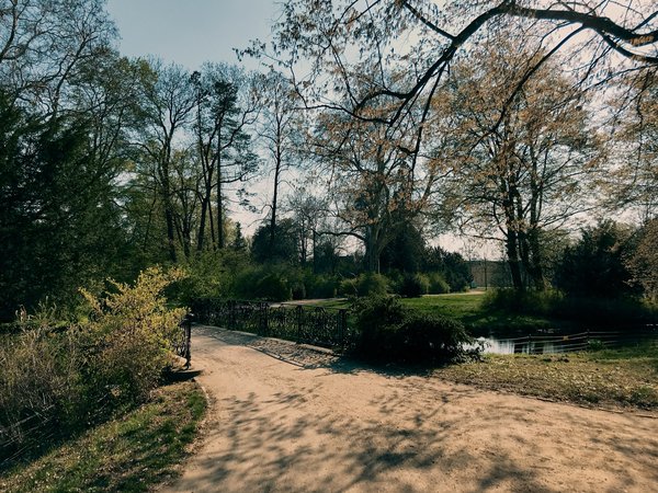 Potsdam (DE), Schloss Sanssouci -- 2019 -- 7531