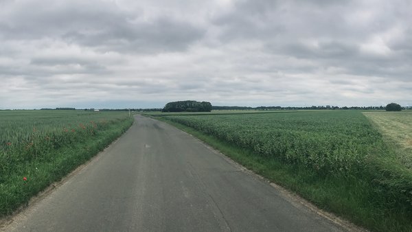 Mönchengladbach (DE), Schloß-Dyck-Straße -- 2019 -- 9866