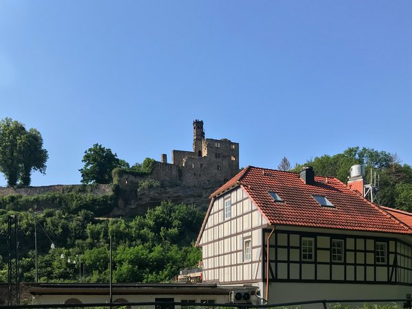 Nörten-Hardenberg (DE), Burgruine -- 2019 -- 0271