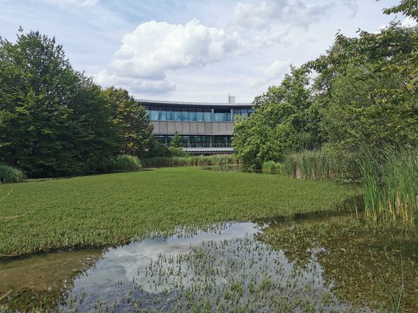 Düsseldorf (DE), Universität, Teich am Oeconomicum -- 2020 -- 144522