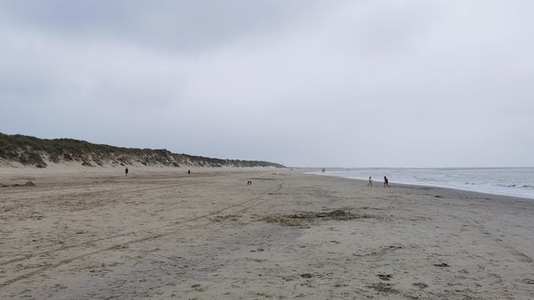 Renesse (NL), Strand -- 2020 -- 165953