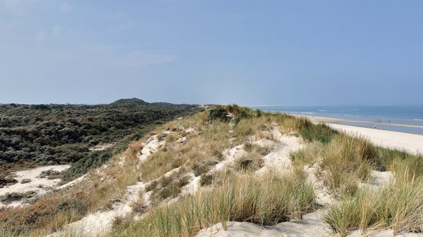 Renesse (NL), Dünen -- 2020 -- 123123