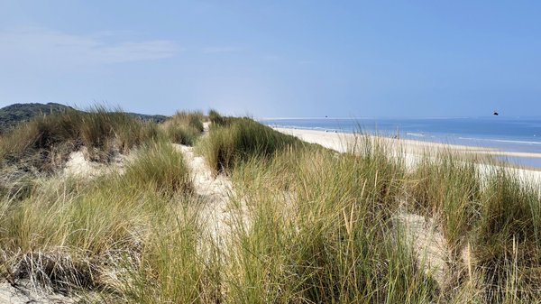 Renesse (NL), Dünen -- 2020 -- 123515