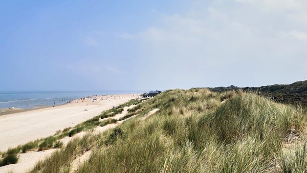 Renesse (NL), Strand -- 2020 -- 123832