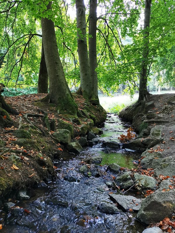 Kassel (DE), Bergpark Wilhelmshöhe -- 2020 -- 172734