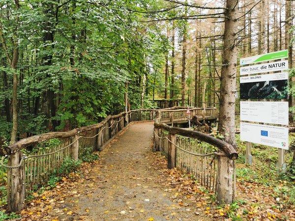 Heimbach (DE), Wildniswerkstatt Düttling -- 2020 -- 160304