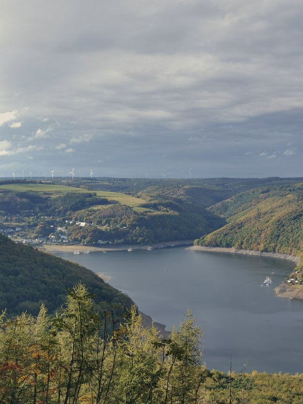 Schleiden (DE), Rursee vom Kermeter -- 2020 -- 165422