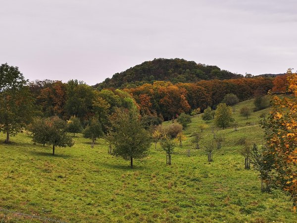 Königswinter (DE), Siebengebirge -- 2020 -- 163002
