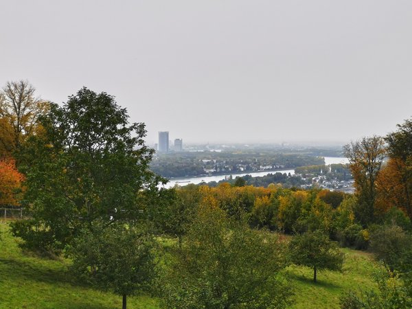Königswinter (DE), Drachenfels, Blick nach Nordosten -- 2020 -- 163141