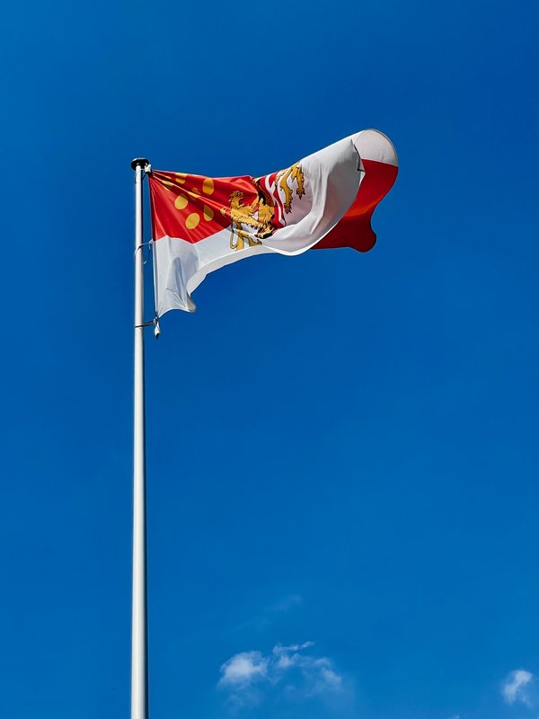 Neuss (DE), Flagge der Stadt -- 2021 -- 8225