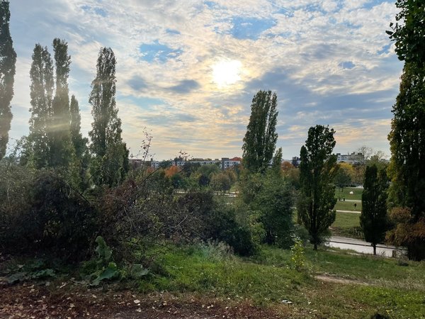 Berlin (DE), Mauerpark -- 2021 -- 9392