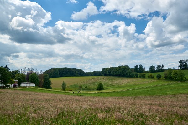 Hückeswagen (DE), Landschaft -- 2022 -- 0045