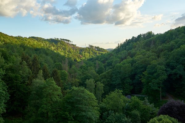 Gummersbach (DE), Aggertalsperre -- 2022 -- 0406