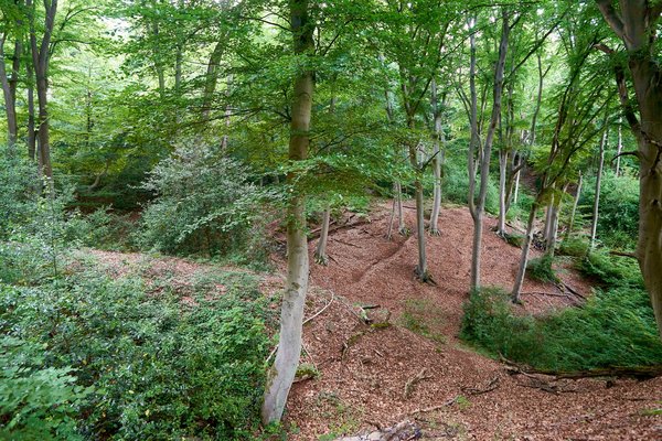Mülheim an der Ruhr (DE), Mintarder Ruhrtalhang -- 2022 -- 0285