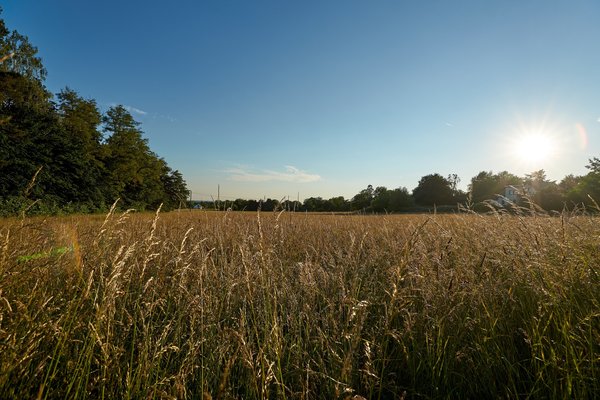 Ratingen (DE), Mintarder Berg -- 2022 -- 0294