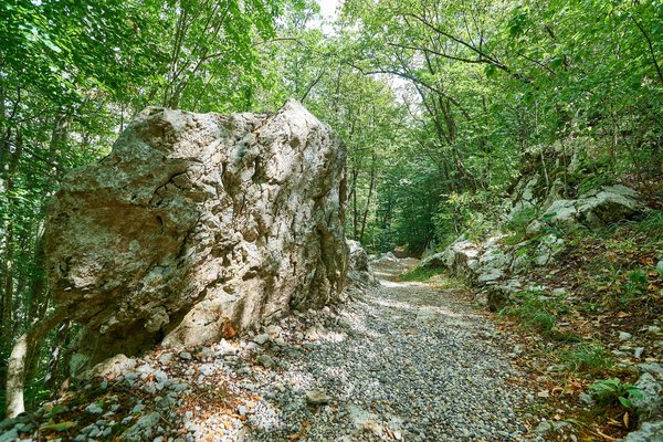 Gračac (HR), Untere Cerovac-Höhle -- 2022 -- 0009