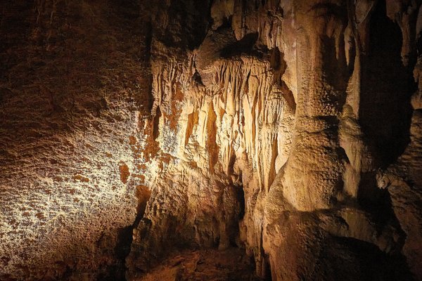 Gračac (HR), Obere Cerovac-Höhle -- 2022 -- 0103