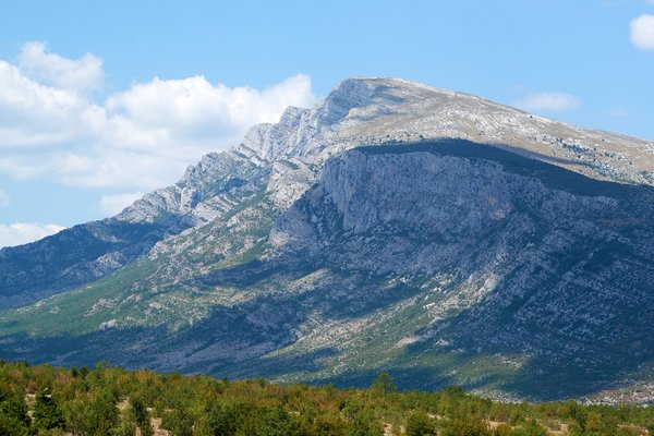 Dinara (zub)