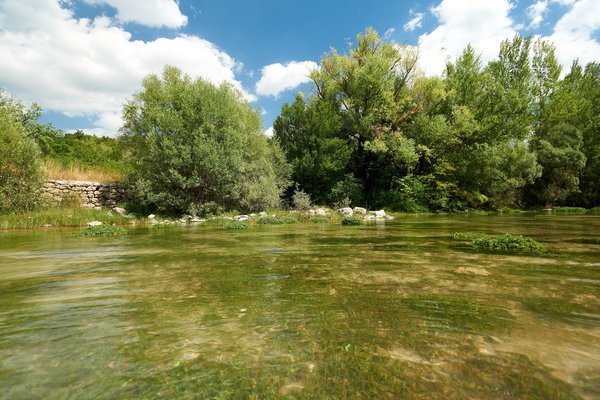 Cetina (HR), Quelle „Blue Eye“ -- 2022 -- 0067