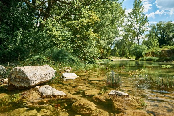 Cetina (HR), Quelle „Blue Eye“ -- 2022 -- 0075
