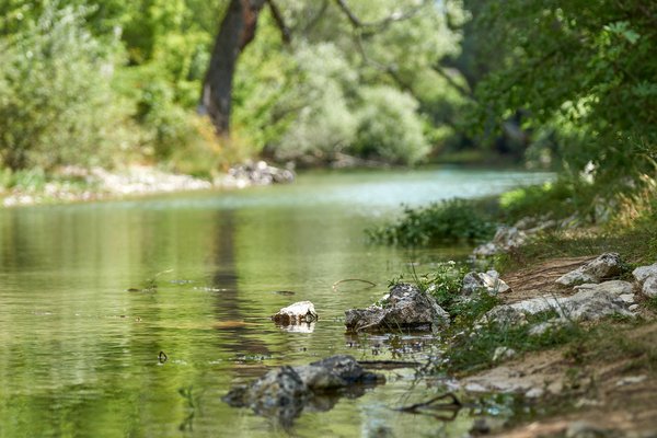 Cetina (HR), Quelle „Blue Eye“ -- 2022 -- 0140