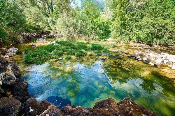 Cetina (HR) -- 2022 -- 0193