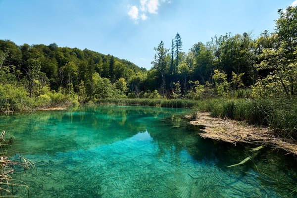 Lika-Senj (HR), Plitvicer Seen, Gradinsko -- 2022 -- 0134