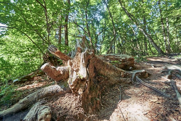 Lika-Senj (HR), Plitvicer Seen -- 2022 -- 0201