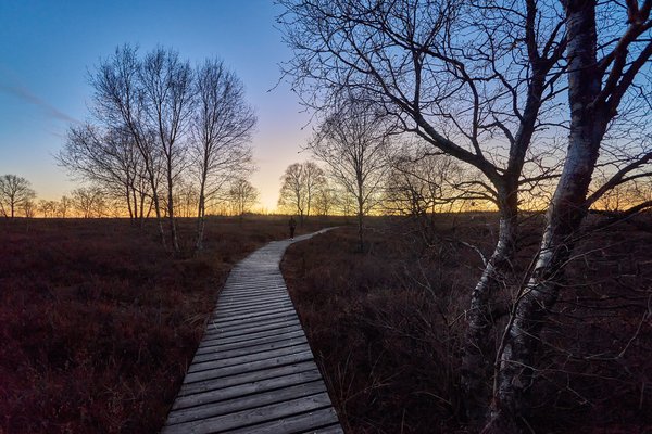 Weismes (BE), Brackvenn -- 2022 -- 0066