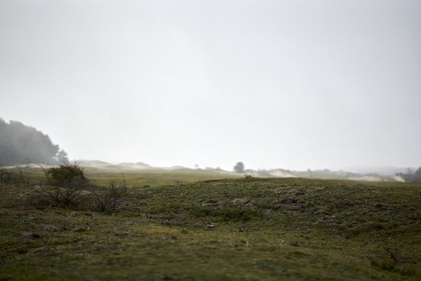 Renesse (NL), Dünenlandschaft -- 2023 -- 0066