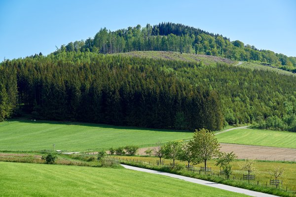 Winterberg (DE), Meisterstein -- 2023 -- 0019