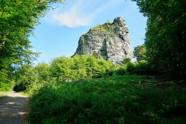 Olsberg (DE), Bruchhauser Steine -- 2023 -- 0043