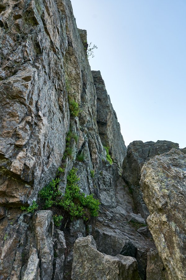 Olsberg (DE), Bruchhauser Steine -- 2023 -- 0270