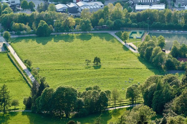 Olsberg (DE), Fluggelände Bruchhauser Steine vom Istenberg -- 2023 -- 0323