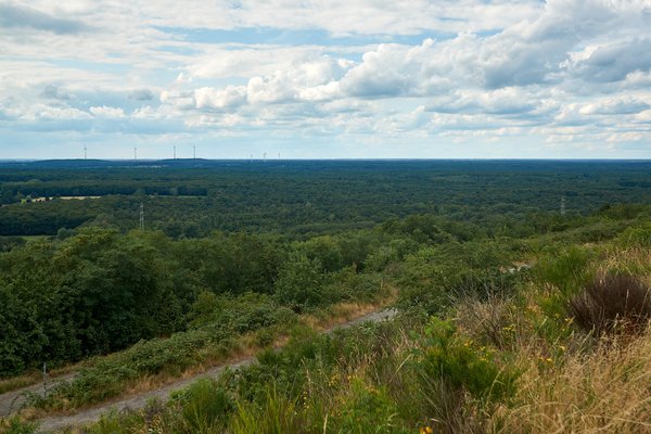Oberhausen (DE), Hiesfelde Wald -- 2023 -- 0019