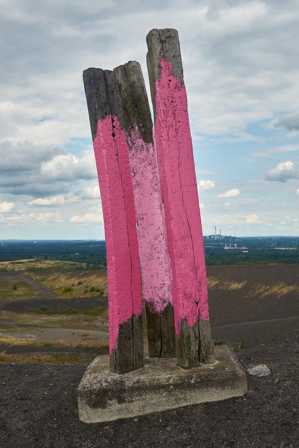 Bottrop (DE), Halde Haniel, Totems -- 2023 -- 0054