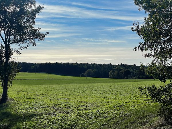 Kall (DE), Landschaft -- 2023 -- 9276