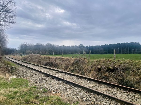 Eupen (BE), Bahnstrecke bei Raeren -- 2024 -- 3205