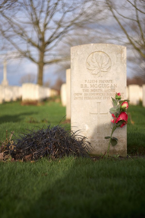 Berg en Dal (NL), Kanadischer Soldatenfriedhof Groesbeek -- 2024 -- 0005
