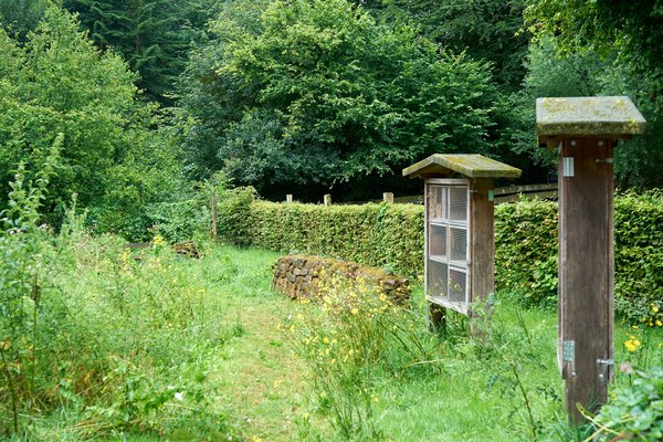 Düsseldorf (DE), Grafenberger Wald -- 2024 -- 0054