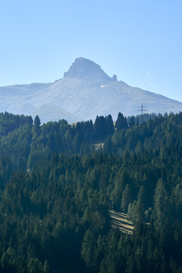 Gries am Brenner (AT), Stubaier Alpen -- 2024 -- 0025