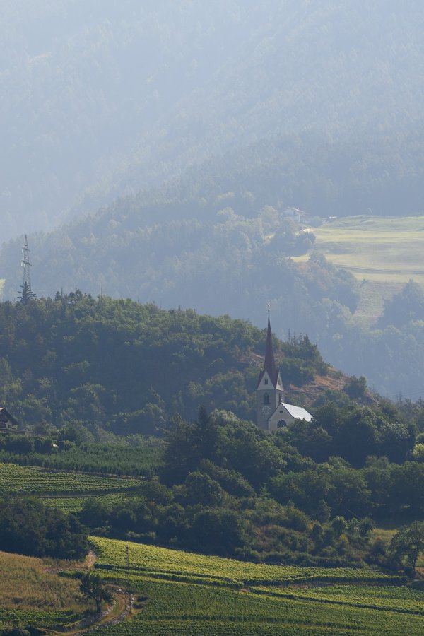 Brixen (IT), St. Peter und Paul -- 2024 -- 0062
