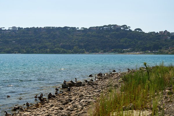 Castel Gandolfo (IT), Lago Albano -- 2024 -- 0216