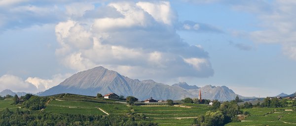 Brixen (IT), Zillertaler Alpen -- 2024 -- 0108-11