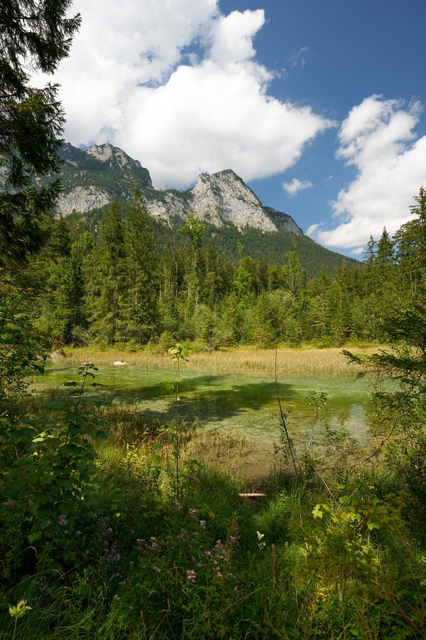 Ramsau bei Berchtesgaden (DE), Zauberwald -- 2024 -- 0078
