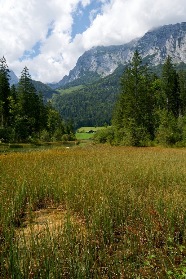Ramsau bei Berchtesgaden (DE), Zauberwald -- 2024 -- 0087