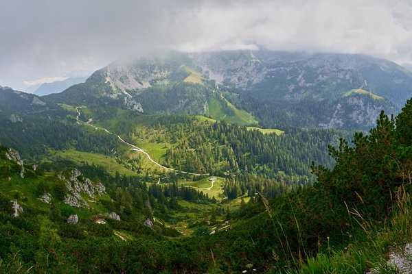 Schönau am Königssee (DE), Königstalalm vom Jenner -- 2024 -- 0260-7